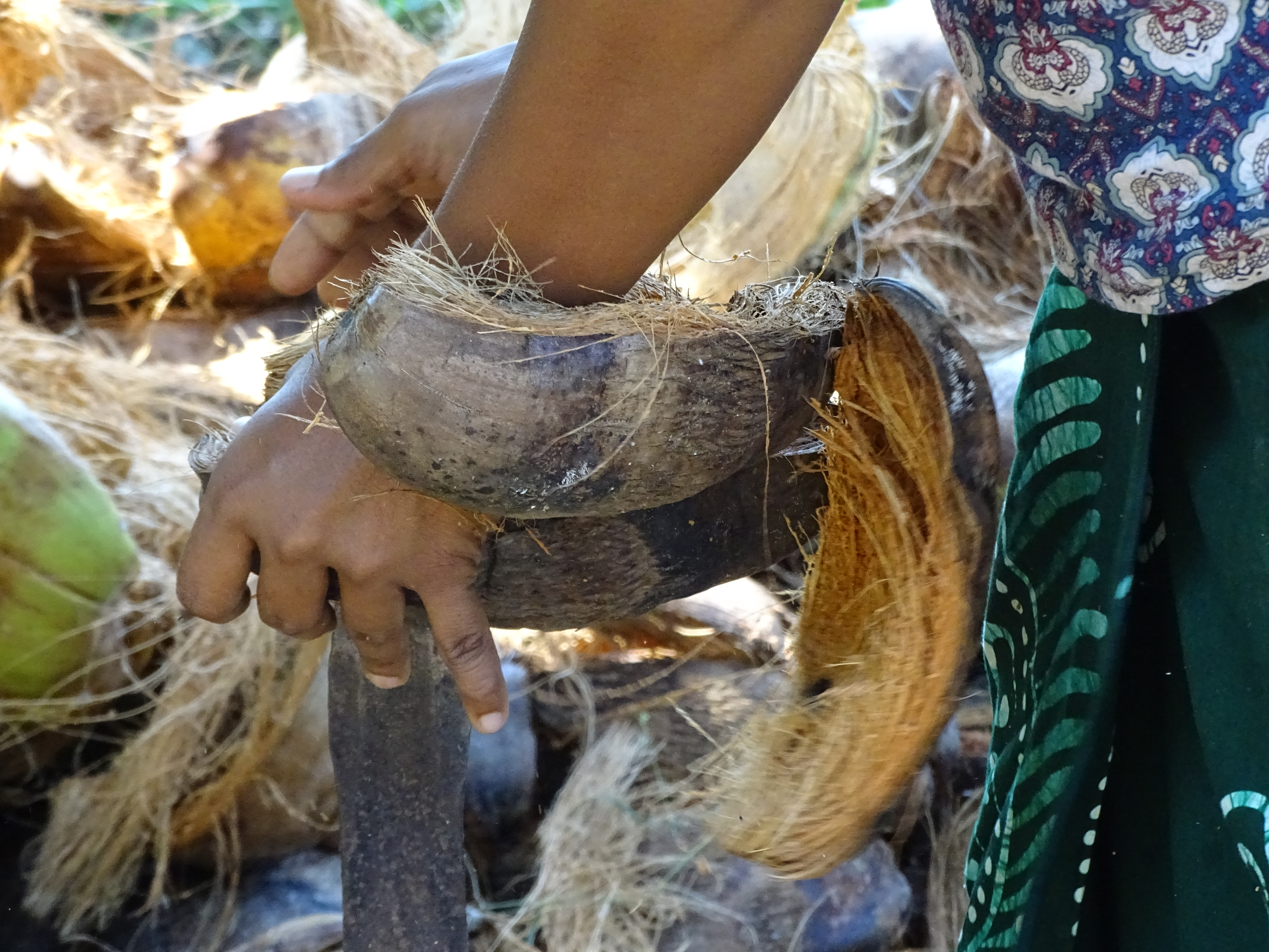 chena cultivation